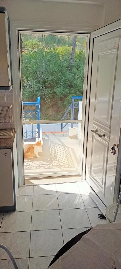 Siviri Sea & Forest-Cozy Apartment With Garden & Nature Views Eksteriør bilde