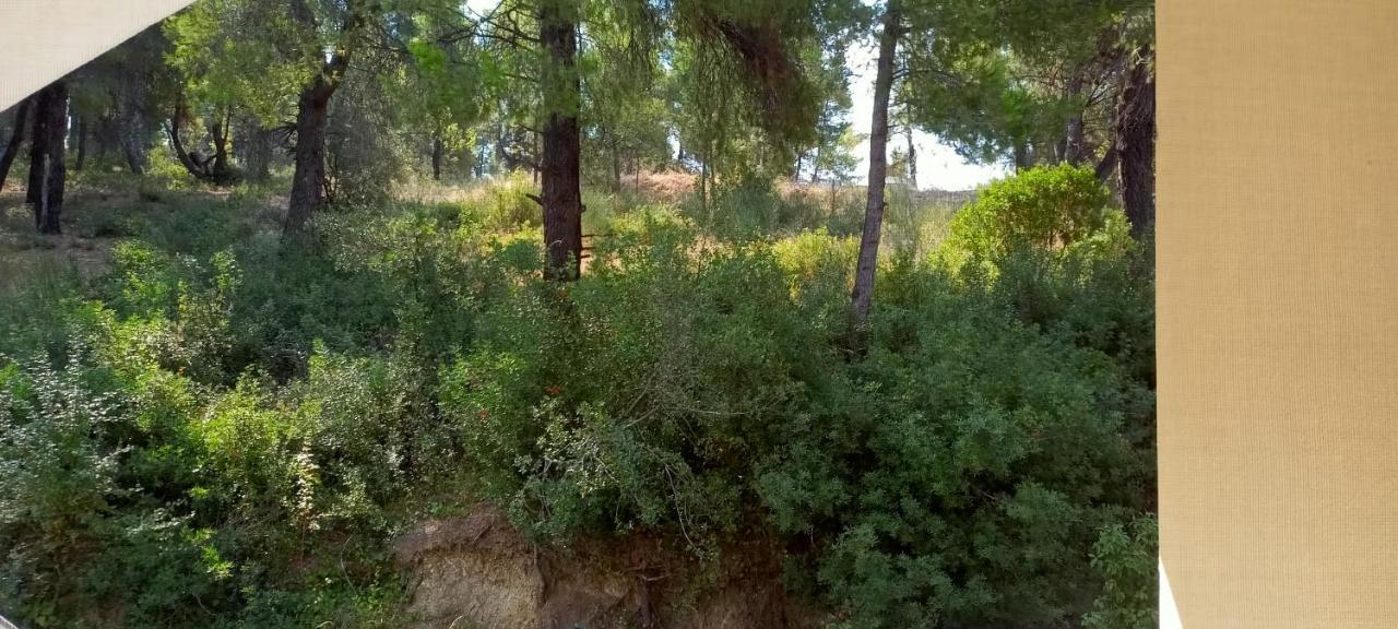 Siviri Sea & Forest-Cozy Apartment With Garden & Nature Views Eksteriør bilde